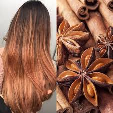 Hair Color 2019 Trends Cinnamon Hair Color Trends Cinnamon Hair Cinnamon Hair Colors