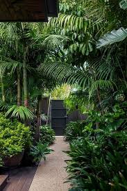 Tropical Garden Ideas Tips And Photos Inspiration For Your Tropical Landscaping Tropical Landsca Tropical Garden Design Tropical Garden Tropical Landscaping
