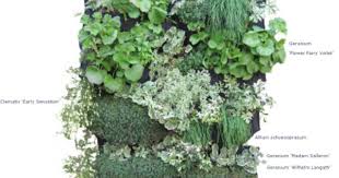 Plants For Your Wall Planters Guidance For Diy Green Walls Garden Design Blog Grun