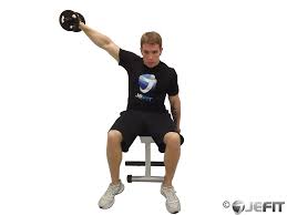 This side deltoid exercisecan also be performed standing, but seated version with your back flat against the back of a chair will help eliminate any cheating on this shoulder exercise. Dumbbell Alternate Seated Lateral Raise Exercise Database Jefit Best Android And Iphone Workout Fitness Exercise And Bodybuilding App Best Workout Tracking Software