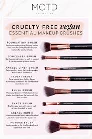 Cruelty Free Vegan Essential Makeup Brushes Blog Makeup Brush Guide For Beginners Makeup Brushes Guide Essential Makeup Brushes Cruelty Free Makeup Brushes