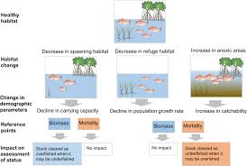 The Assessment Of Fishery Status Depends On Fish Habitats