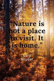Marine pollution and global warming are just some of the issues tackled by the un's world environment day. Environment Quotes About How Nature Is Important To Us And Is Our Second Home So Let S Care For Her Environment Quotes Environment Day Quotes Nature Quotes