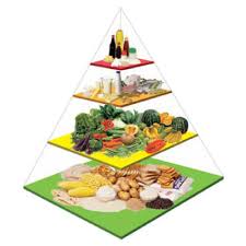 Faktanya penyebab utama obesitas adalah ketidakseimbangan pola makanan, asupan tinggi dan tidak dibarengi dengan aktifitas akan membuat anak semakin malas bergerak dan menyebabkan anak semakin gemuk. Obesiti Pencegahan Awal Kunci Utama Positive Parenting