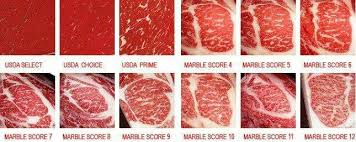 beef marble scores kobe beef steak beef steak kobe beef