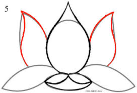How to draw a simple lotus flower. How To Draw Lotus Flower Step By Step Pictures