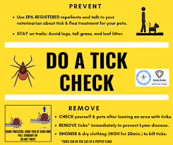 How they stole the election, by vasko kohlmayer november 10, 2020. Ticks