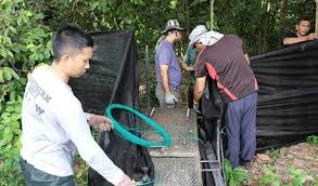 Jabatan perkhidmatan veterinar negeri sembilan lot 1504, mukim pantai, batu 6, jalan jelebu, 71770 seremban, negeri sembilan tel : Harimau Kumbang Kuala Pilah Masih Bebas