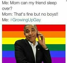 A way of describing cultural information being shared. 26 Pride Memes That Will Make Every Queer Person Say Meee