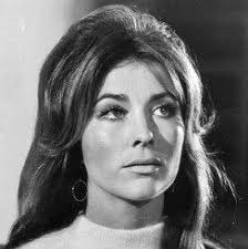 Michele Carey