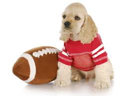 Image result for Super Bowl LII Hours Ago
