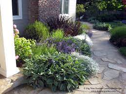 Front yard landscaping ideas can include many areas. Plant Combinations Northern California Gardens Traditional Landscape San Francisco By Dig Your Garden Landscape Design Houzz