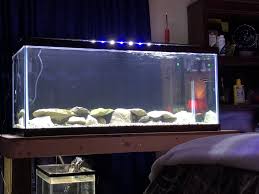 Penn plax app5 air pod aquarium air pump ultra quiet compact dome shape dual air output up to 75 gallon tank. Why Are My Jack Dempseys So Skittish 75 Gallon Tank Jack Dempsey Cichlid Forum 386577