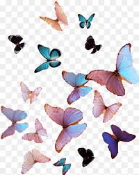 Png pngs transparents transparent pngs transparent clothing clothing pngs urban outfitters. Tumblr Transparent Png Images Pngwing