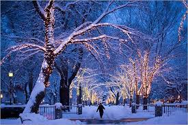 Snow Snow Snow Beautiful Winter Pictures Winter Pictures Winter Time