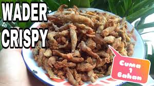 Resep kripik bayam crispy gurih tidak berminyak — cemilan satu ini terbuat dari sayuran bayam berikut ini resep cara bikin keripik bayam crispy gurih tidak berminyak praktis dan gampang dibuat. Resep Cara Membuat Wader Crispy Cuma 1 Bahan Youtube