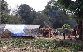 Gua musang is a small town deep in the jungles of central kelantan. Tb Ruled Out Over Orang Asli Deaths As More Seek Treatment Merdeka Center