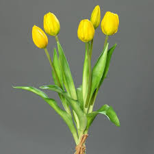 Bildergebnis für Bilder von Tulpen