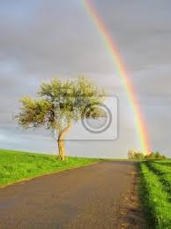 Gratis per usi commerciali attribuzione non richiesta video hd e 4k di alta qualità. Fine Di Arcobaleno Bella Vista Sul Paesaggio Piovoso E Soleggiato Carta Da Parati Carte Da Parati Fine Piovoso Eu Myloview It