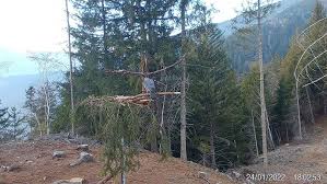 Bildergebnis für FOTOGRAFICO OSSERVATORIO