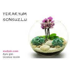 teraryum sonsuzluk mutlubi com ozel tasarim cicek teraryum sonsuzluga html cicek teraryum terrarium ozeltasarimcicek istanb teraryum terrarium teraryumlar