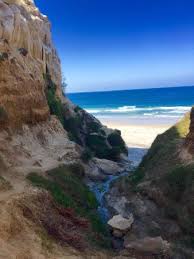 It is full of wild life, bizarre stand cliff formations from the ocean wind gusts, and a nasty stinky stream which runs to the ocean. Ho Chi Minh Trail Picture Of Ho Chi Minh Trail La Jolla Tripadvisor
