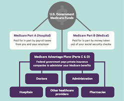 Maybe you would like to learn more about one of these? Clover Health How Does Medicare Advantage Work