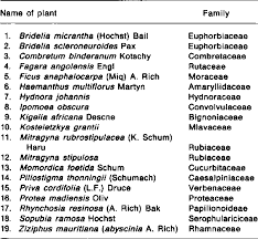Image result for Sopubia angolensis
