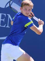 Home sports stars male david goffin height, weight, age, body statistics. David Goffin Belgium S Number One Tennisplayer Focus On Belgium