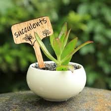 Cowpots manufactures 13 sizes of biodegradable planting containers. Shop Seedling Pots Wholesale Uk Seedling Pots Wholesale Free Delivery To Uk Dhgate Uk