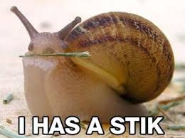 Funny pictures animals with captions definition source(google.com.pk) the first recorded use of the term lolcat is from the anonymous imageboard 4chan.789 the word lolcat is attested as early as june 2006, and the domain name lolcats.com was registered on june 14, 2006.10 Funny Animal Memes Animal Pictures With Captions Funny Animals Love