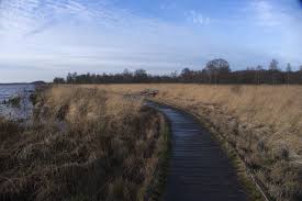 Landhaus großes meer, südbrookmerland, niedersachsen. Rundwanderung Ewiges Meer Ostfriesland Entdecken