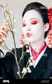 Geisha makeup hi-res stock photography and images - Alamy