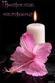 Google Gif Joyeux Anniversaire Bougie Rose Image Animee