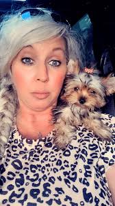 Looking for related female yorkie in Michigan?