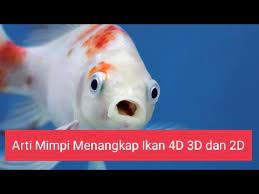 Check spelling or type a new query. Arti Mimpi Menangkap Ikan 4d 3d Dan 2d Youtube