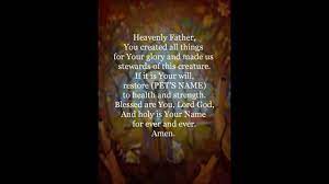 Prayer for healing for your pets. Franciscan Prayer For Sick Animals Youtube