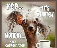 Happy monday morning funny images. Funny Monday Quotes Pictures Photos Images And Pics For Facebook Tumblr Pinterest And Twitter