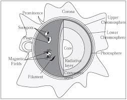 Cc Cycle 2 Week 8 What Are Some Parts Of The Sun Science Teaching Resources Homeschool Science Homeschool Astronomy