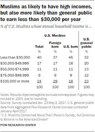 Demographic Portrait Of Muslim Americans Pew Research Center