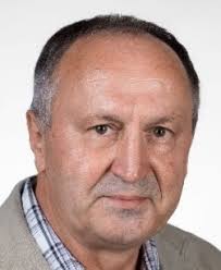 Bliss, T. V. P., Collingridge, G., Morris, R. G. M., & Reymann, K. G.  (2018). Long-term potentiation in the hippocampus: dis