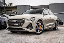 Image result for Siam Beige 2017 Audi