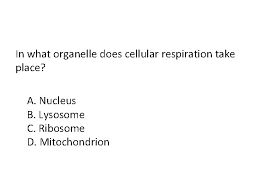 Cellular respiration, like burning figure 9.4 cellular respiration plays a central role in the metabolic activity of cells. Unit 6 Energy Transformation What Is Energy Definition