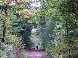 Jardins et for&ecirc;t de st Germain en Laye - Balades aux jardins