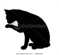 Cat Silhouette Silhouette Chat Art De Chat Noir Illustration De Chat