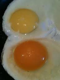Maybe you would like to learn more about one of these? The Difference Between Pastured Organic And Free Range Eggs Delishably
