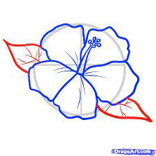 Hibiscus Pattern To Draw How To Draw A Hawaiian Tattoo Step By Tattoos Hawaiian Flower Drawing Flower Drawing Hibiscus Drawing