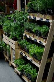 Marvelous Best 45 Farm Stand Display Ideas For Alternative Beautiful Display Ideas Http Good Farmers Market Display Garden Center Displays Farm Market Ideas