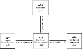 Http Dspace Nplg Gov Ge Bitstream 1234 8416 1 Moxsenebebi Pdf