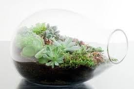Diy Garden Terrarium A Fantastic Way To Bring Spring Inside The House Or Dorm Room D During Those Long Terrarium Diy Terrarium Decor Succulent Terrarium
